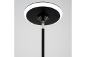 Торшер LED CITILUX Twin 3 кв.м, 25x177x25 см, LED