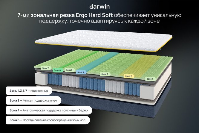 Матрас анатомический DARWIN Zone spring 120х200 см