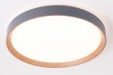 Светильник потолочный AMBRELLA LIGHT Orbital 22 кв.м., 49x8x49 см, LED