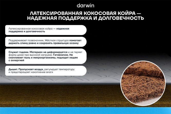 Матрас анатомический DARWIN Flow 80х190 см