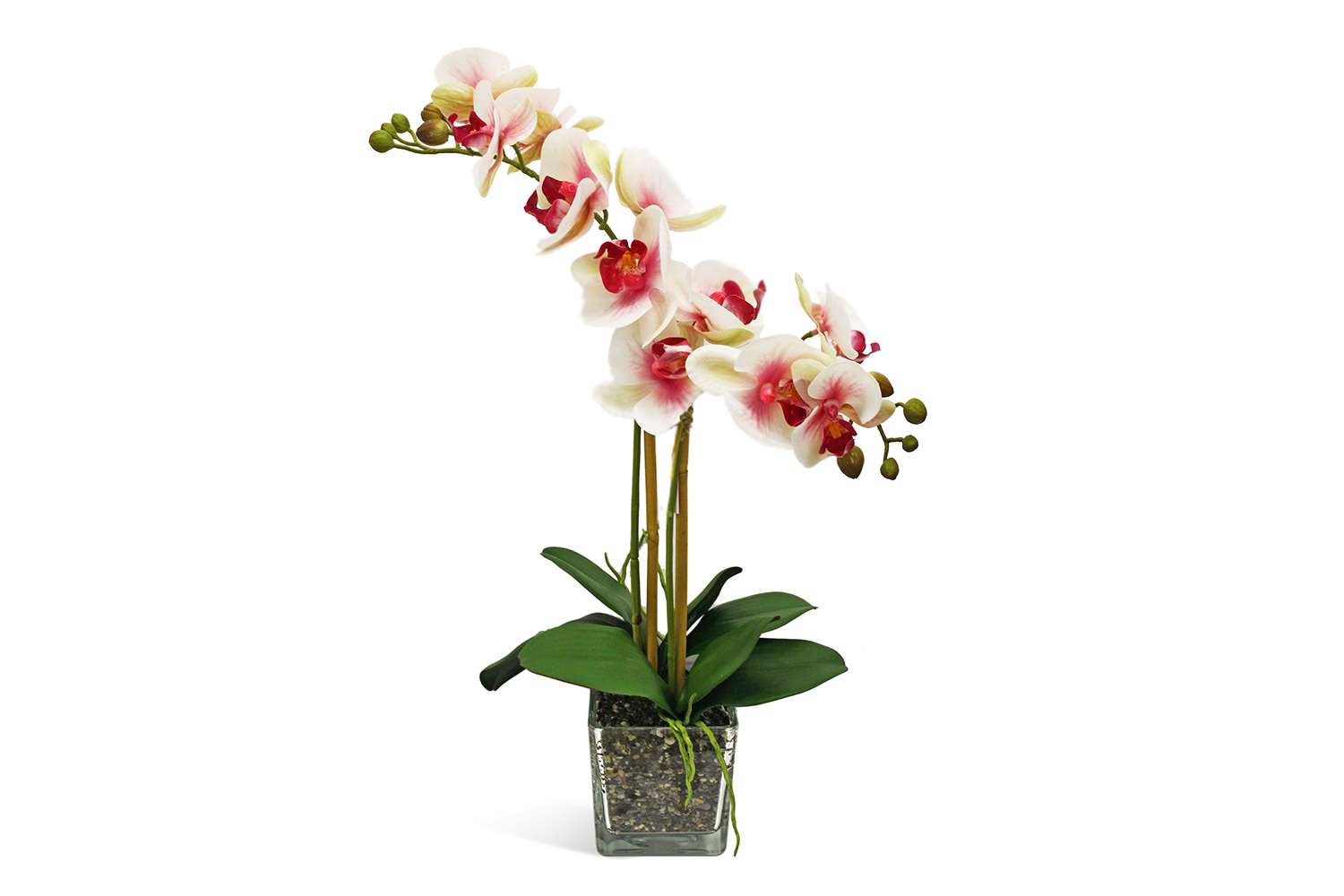 фото Искусственное растение в кубе орхидея фаленопсис hoff