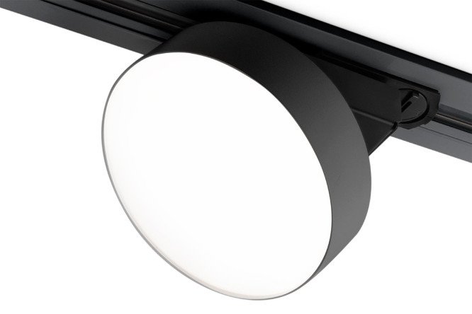 Изображение товара Потолочный светильник ELEKTROSTANDARD Pila для дома и офиса