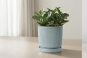Горшок с блюдцем Mandarin decor Рельеф 18х19.7 см