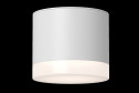 Светильник потолочный Ceiling & Wall Pauline 8.2x7x8.2 см, GX53