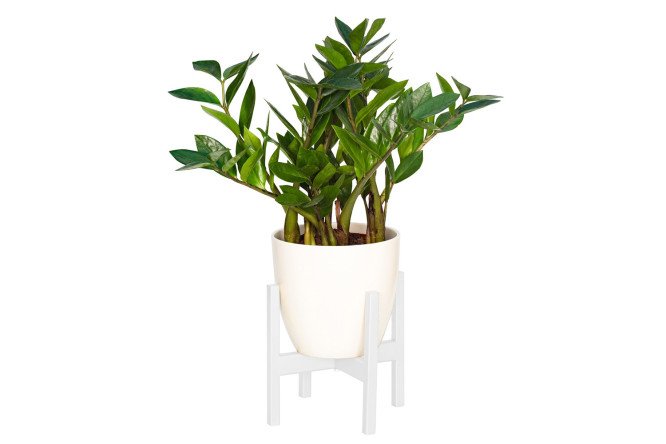 Изображение товара Подставка для комнатных растений Oxalis 20х20х20 см, 1 ярусов, Напольная
