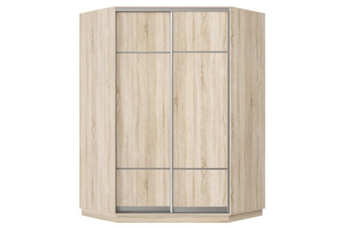 Изображение товара Двухдверный шкаф-купе Практик 71 дуб сонома 110х220х110 см