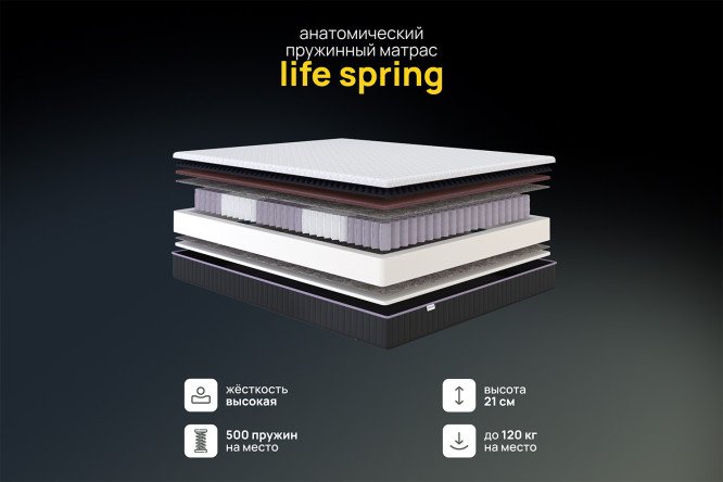 Матрас анатомический DARWIN Life Spring