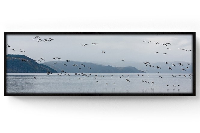 Изображение товара Канвас в раме CF-1502 153х53 см для интерьеров