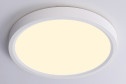 Светильник потолочный AMBRELLA LIGHT Orbital 12 кв.м., 23x2.5x23 см, LED