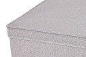 Кофр с крышкой MITTE Basic для хранения вещей 70x22x55 см