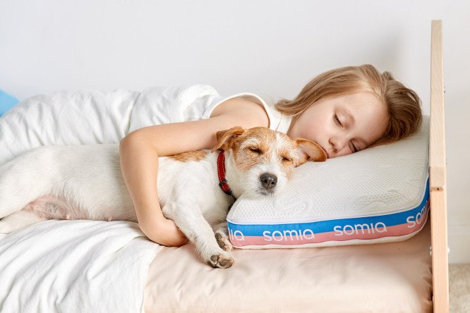 Детская подушка трансформер SOMIA Kids 35х45 см, Пенополиуретан