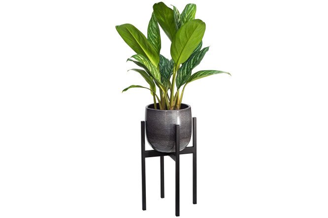 Изображение товара Подставка для комнатных растений Oxalis 40 23,5х40х23 см, напольная