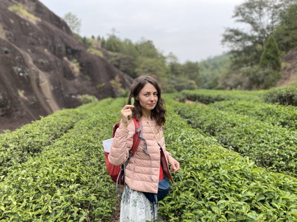 10 полезных и вкусных фиточаев