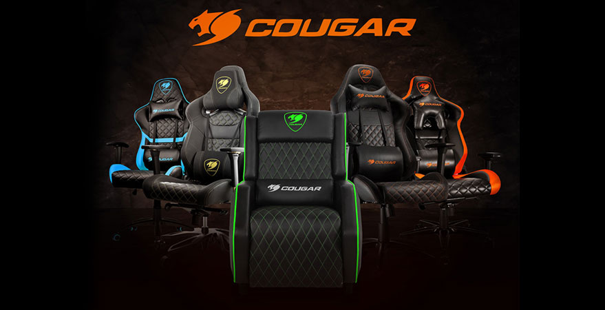 Cougar